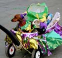MYSTIC_KREWE_OF_BARKUS_2007_PARADE_PICTURES_0676