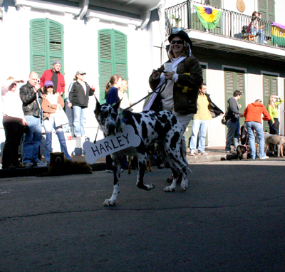2008-Krewe-of-Barkus-Mardi-Gras-2008-New-Orleans-Parade-0310