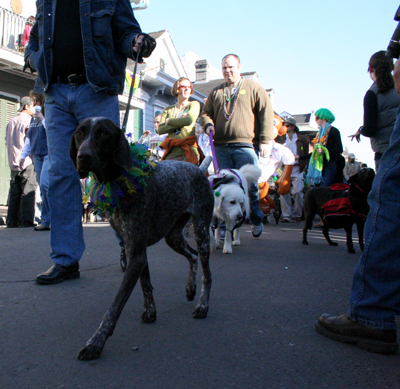 2008-Krewe-of-Barkus-Mardi-Gras-2008-New-Orleans-Parade-0326