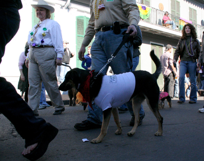 2008-Krewe-of-Barkus-Mardi-Gras-2008-New-Orleans-Parade-0329