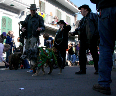 2008-Krewe-of-Barkus-Mardi-Gras-2008-New-Orleans-Parade-0337