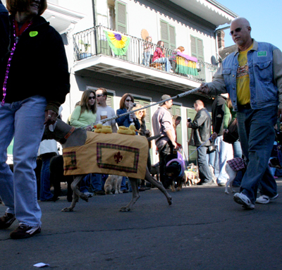 2008-Krewe-of-Barkus-Mardi-Gras-2008-New-Orleans-Parade-0349