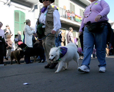 2008-Krewe-of-Barkus-Mardi-Gras-2008-New-Orleans-Parade-0351