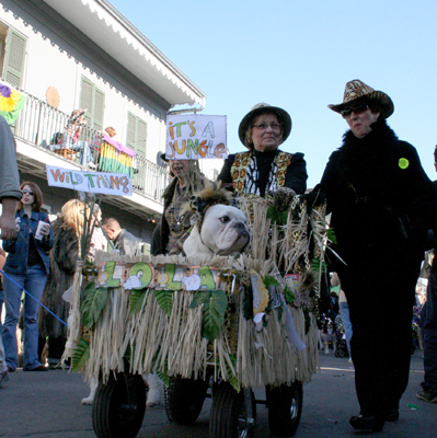 2008-Krewe-of-Barkus-Mardi-Gras-2008-New-Orleans-Parade-0353