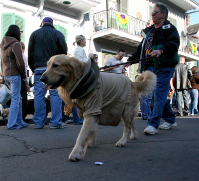 2008-Krewe-of-Barkus-Mardi-Gras-2008-New-Orleans-Parade-0358