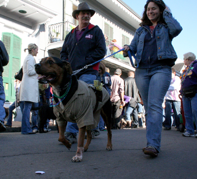 2008-Krewe-of-Barkus-Mardi-Gras-2008-New-Orleans-Parade-0360
