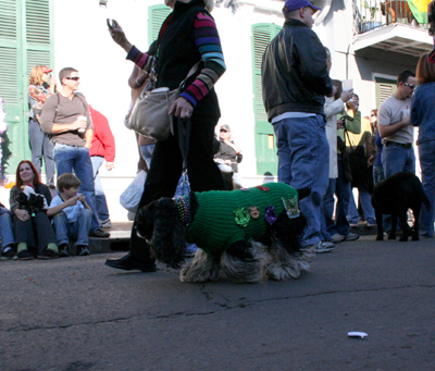 2008-Krewe-of-Barkus-Mardi-Gras-2008-New-Orleans-Parade-0364