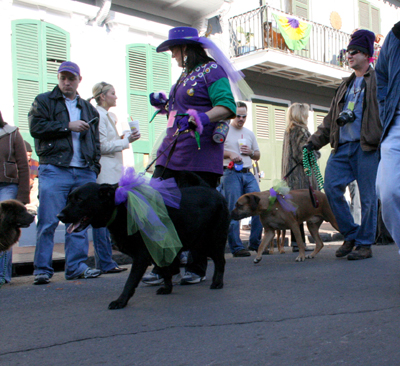 2008-Krewe-of-Barkus-Mardi-Gras-2008-New-Orleans-Parade-0386