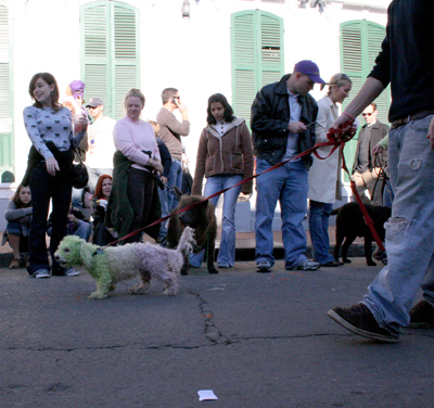 2008-Krewe-of-Barkus-Mardi-Gras-2008-New-Orleans-Parade-0388