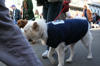 2008-Krewe-of-Barkus-Mardi-Gras-2008-New-Orleans-Parade-0390