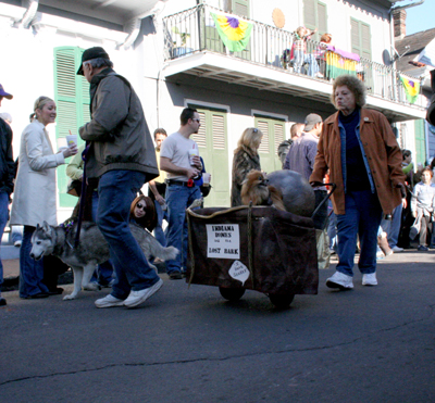 2008-Krewe-of-Barkus-Mardi-Gras-2008-New-Orleans-Parade-0391