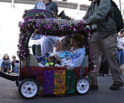 2008-Krewe-of-Barkus-Mardi-Gras-2008-New-Orleans-Parade-0400