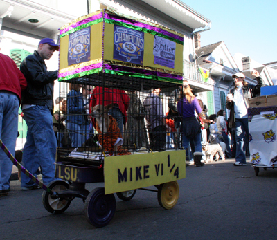 2008-Krewe-of-Barkus-Mardi-Gras-2008-New-Orleans-Parade-0402