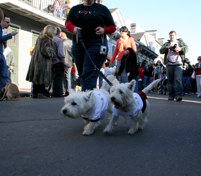 2008-Krewe-of-Barkus-Mardi-Gras-2008-New-Orleans-Parade-0407