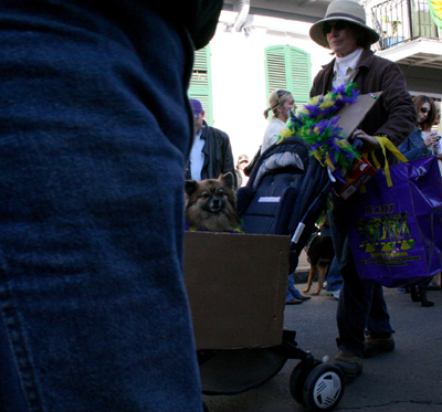2008-Krewe-of-Barkus-Mardi-Gras-2008-New-Orleans-Parade-0415