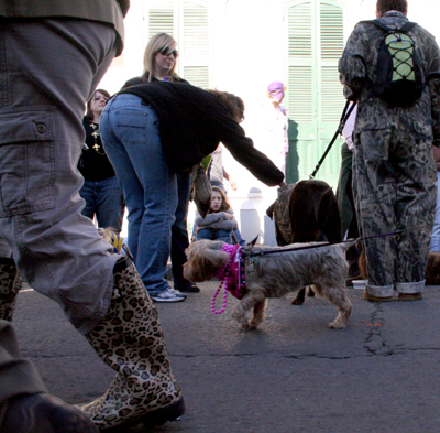 2008-Krewe-of-Barkus-Mardi-Gras-2008-New-Orleans-Parade-0424