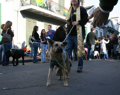 2008-Krewe-of-Barkus-Mardi-Gras-2008-New-Orleans-Parade-0566