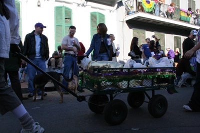 2008-Krewe-of-Barkus-Mardi-Gras-2008-New-Orleans-Parade-0577
