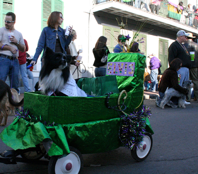 2008-Krewe-of-Barkus-Mardi-Gras-2008-New-Orleans-Parade-0578