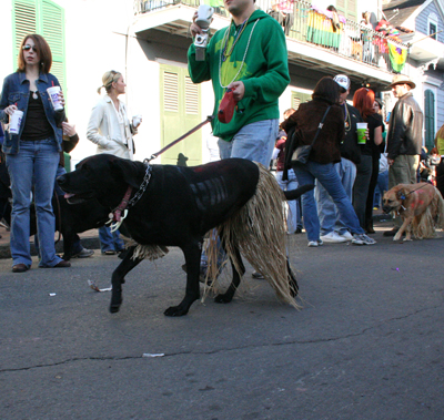 2008-Krewe-of-Barkus-Mardi-Gras-2008-New-Orleans-Parade-0587