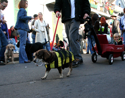 2008-Krewe-of-Barkus-Mardi-Gras-2008-New-Orleans-Parade-0589