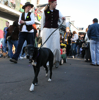 2008-Krewe-of-Barkus-Mardi-Gras-2008-New-Orleans-Parade-0595