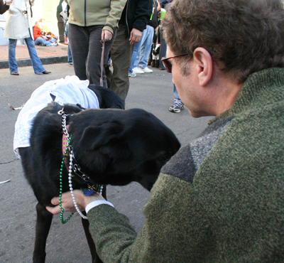 2008-Krewe-of-Barkus-Mardi-Gras-2008-New-Orleans-Parade-0597