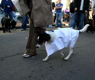 2008-Krewe-of-Barkus-Mardi-Gras-2008-New-Orleans-Parade-0602