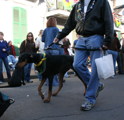 2008-Krewe-of-Barkus-Mardi-Gras-2008-New-Orleans-Parade-0603