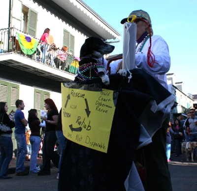2008-Krewe-of-Barkus-Mardi-Gras-2008-New-Orleans-Parade-0611