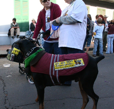 2008-Krewe-of-Barkus-Mardi-Gras-2008-New-Orleans-Parade-0615