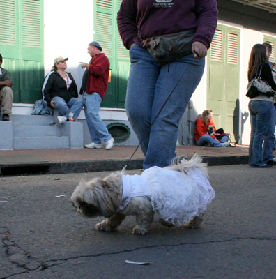 2008-Krewe-of-Barkus-Mardi-Gras-2008-New-Orleans-Parade-0617