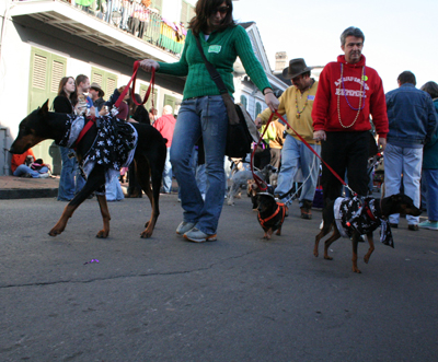 2008-Krewe-of-Barkus-Mardi-Gras-2008-New-Orleans-Parade-0618