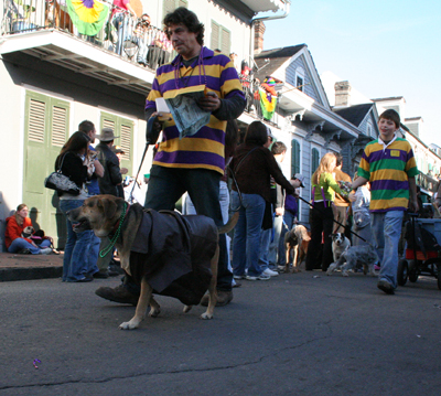 2008-Krewe-of-Barkus-Mardi-Gras-2008-New-Orleans-Parade-0619