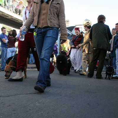 2008-Krewe-of-Barkus-Mardi-Gras-2008-New-Orleans-Parade-0622