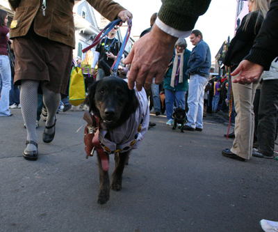 2008-Krewe-of-Barkus-Mardi-Gras-2008-New-Orleans-Parade-0625