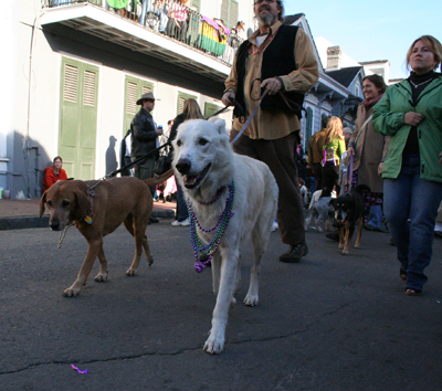 2008-Krewe-of-Barkus-Mardi-Gras-2008-New-Orleans-Parade-0630