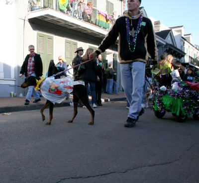 2008-Krewe-of-Barkus-Mardi-Gras-2008-New-Orleans-Parade-0635
