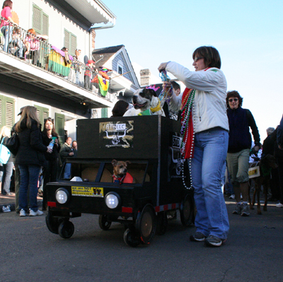 2008-Krewe-of-Barkus-Mardi-Gras-2008-New-Orleans-Parade-0639