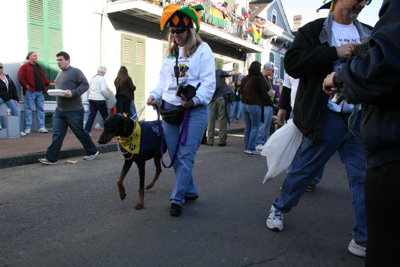 2008-Krewe-of-Barkus-Mardi-Gras-2008-New-Orleans-Parade-0643