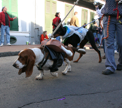 2008-Krewe-of-Barkus-Mardi-Gras-2008-New-Orleans-Parade-0646