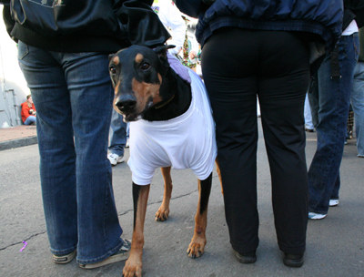2008-Krewe-of-Barkus-Mardi-Gras-2008-New-Orleans-Parade-0648