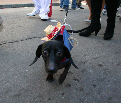 2008-Krewe-of-Barkus-Mardi-Gras-2008-New-Orleans-Parade-0650