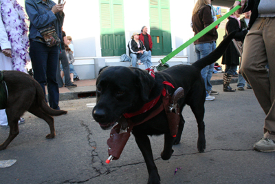 2008-Krewe-of-Barkus-Mardi-Gras-2008-New-Orleans-Parade-0666
