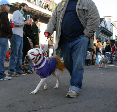 2008-Krewe-of-Barkus-Mardi-Gras-2008-New-Orleans-Parade-0667