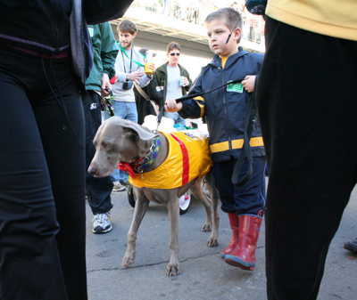 2008-Krewe-of-Barkus-Mardi-Gras-2008-New-Orleans-Parade-0669
