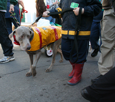 2008-Krewe-of-Barkus-Mardi-Gras-2008-New-Orleans-Parade-0670