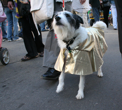 2008-Krewe-of-Barkus-Mardi-Gras-2008-New-Orleans-Parade-0674