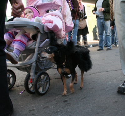 2008-Krewe-of-Barkus-Mardi-Gras-2008-New-Orleans-Parade-0675