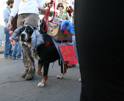 2008-Krewe-of-Barkus-Mardi-Gras-2008-New-Orleans-Parade-0677